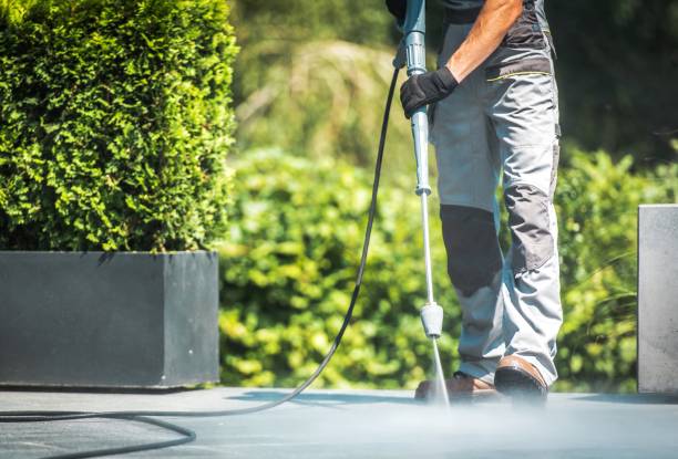 Best Driveway Pressure Washing  in Hooks, TX
